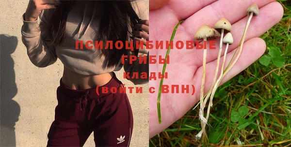 твердый Ростов