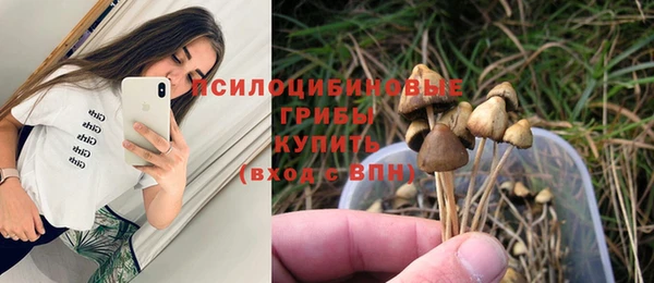 герыч Рославль