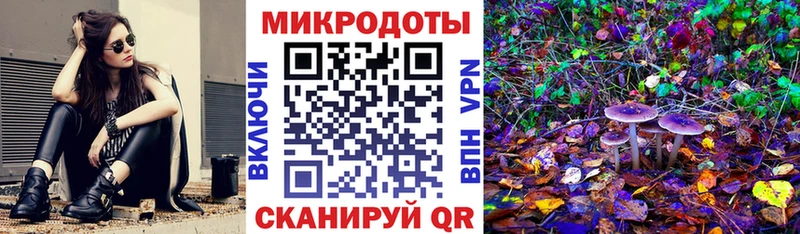 Псилоцибиновые грибы Psilocybine cubensis  Купить где  Троицк 